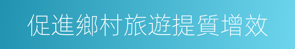 促進鄉村旅遊提質增效的同義詞