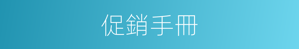 促銷手冊的同義詞