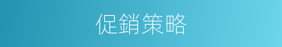 促銷策略的意思