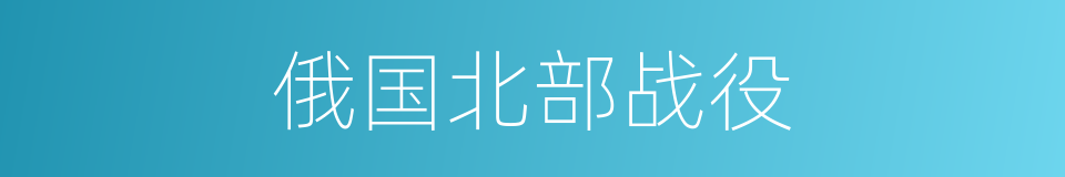 俄国北部战役的同义词