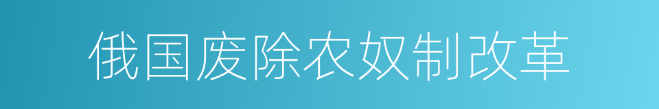 俄国废除农奴制改革的同义词