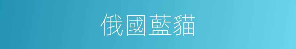 俄國藍貓的同義詞