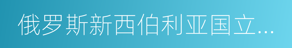 俄罗斯新西伯利亚国立技术大学的同义词