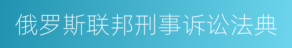 俄罗斯联邦刑事诉讼法典的同义词