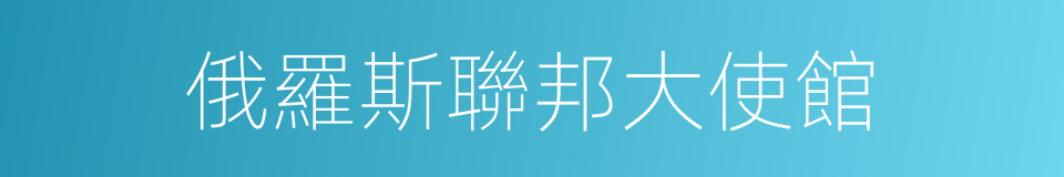 俄羅斯聯邦大使館的同義詞