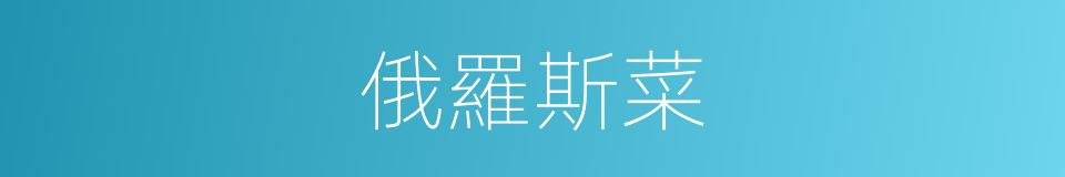 俄羅斯菜的同義詞