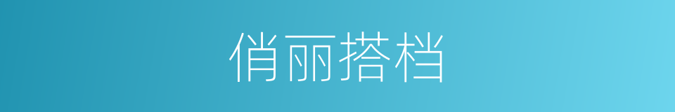 俏丽搭档的同义词