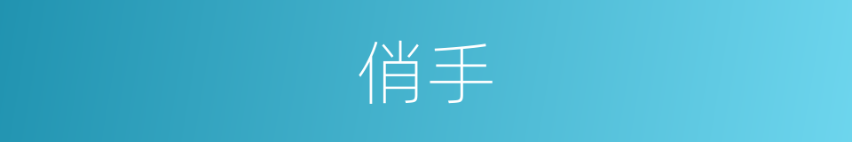 俏手的同义词