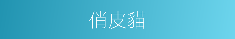 俏皮貓的同義詞