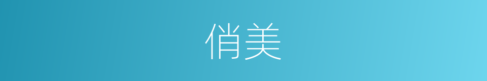 俏美的意思