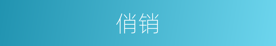 俏销的意思