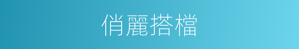 俏麗搭檔的同義詞