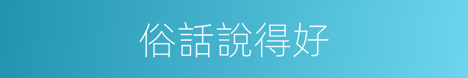 俗話說得好的同義詞