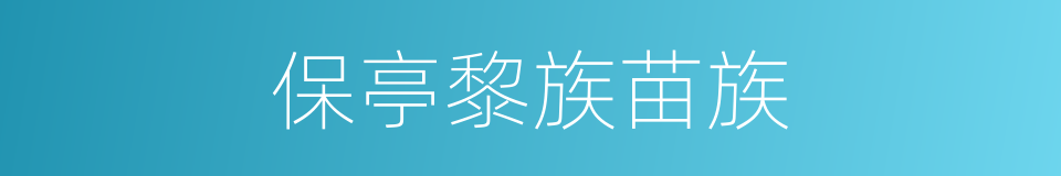保亭黎族苗族的同义词