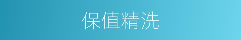 保值精洗的同义词