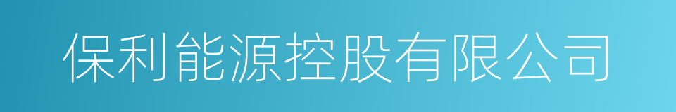 保利能源控股有限公司的同义词