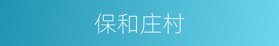 保和庄村的同义词