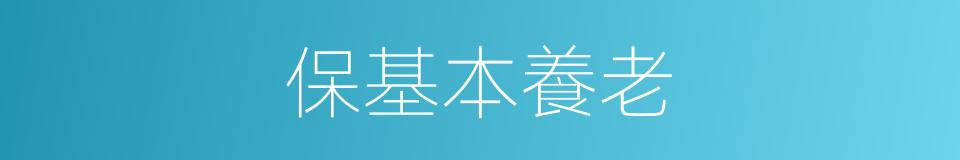 保基本養老的同義詞