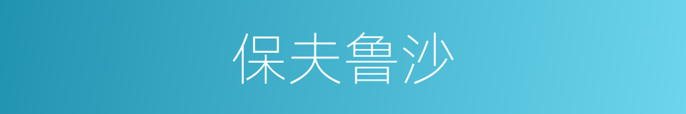 保夫鲁沙的同义词