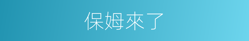 保姆來了的同義詞