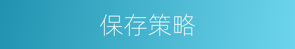 保存策略的同义词