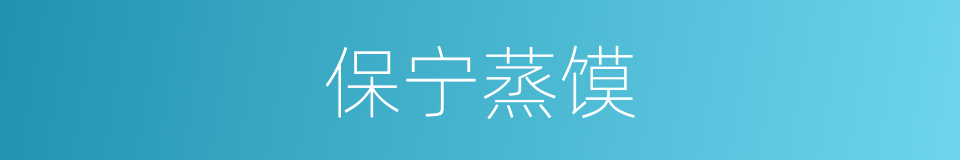 保宁蒸馍的同义词