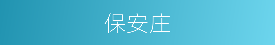 保安庄的同义词