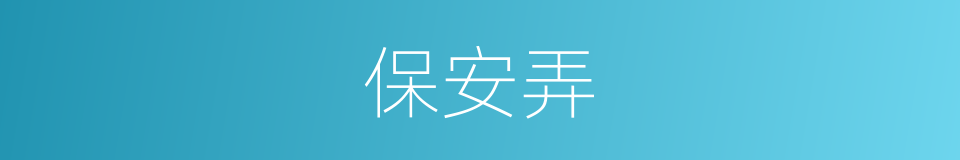 保安弄的同义词