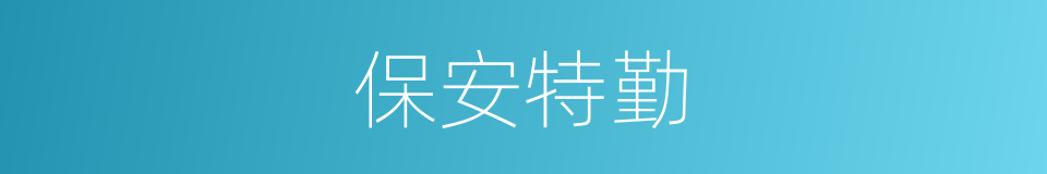 保安特勤的同义词