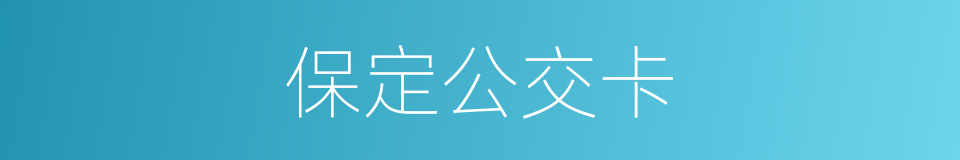保定公交卡的同义词