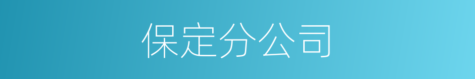 保定分公司的同义词