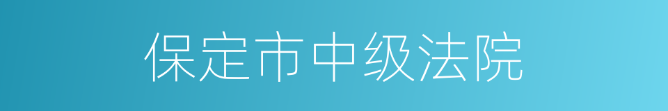 保定市中级法院的同义词