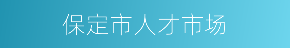 保定市人才市场的同义词