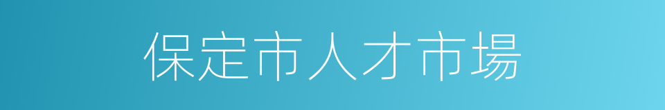 保定市人才市場的同義詞