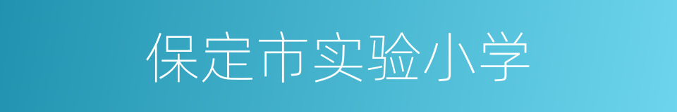 保定市实验小学的同义词