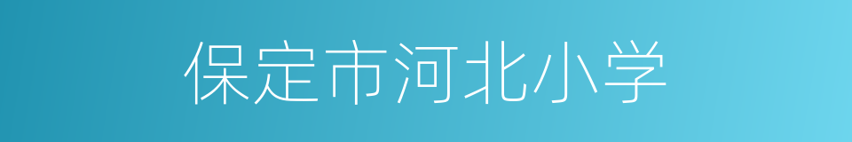 保定市河北小学的同义词