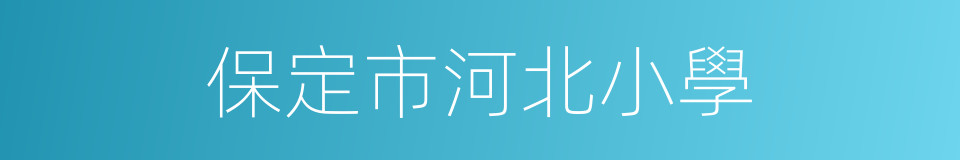 保定市河北小學的同義詞