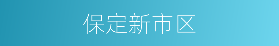 保定新市区的同义词