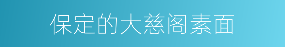 保定的大慈阁素面的同义词