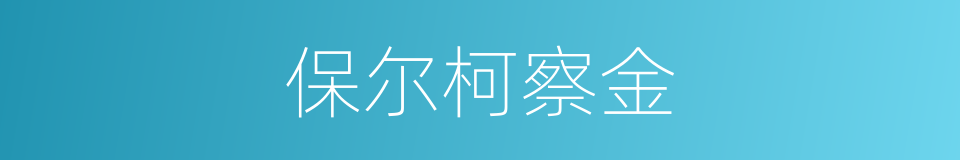 保尔柯察金的同义词