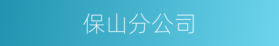 保山分公司的同义词