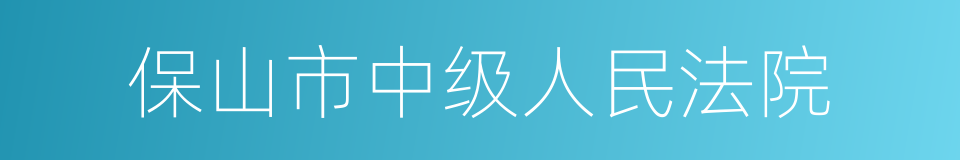 保山市中级人民法院的同义词