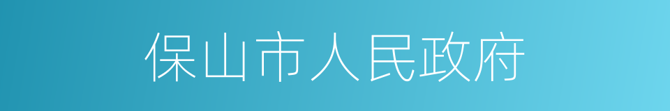 保山市人民政府的同义词