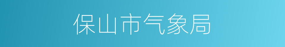 保山市气象局的同义词