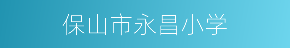保山市永昌小学的同义词