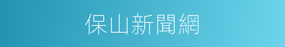 保山新聞網的同義詞