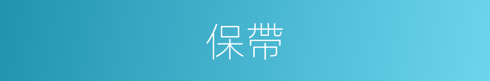保帶的同義詞