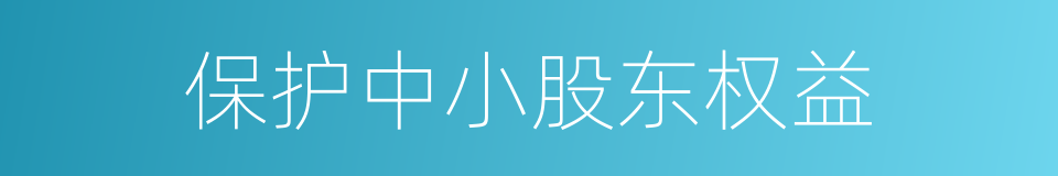 保护中小股东权益的同义词