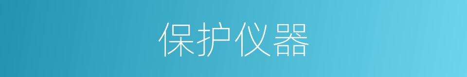 保护仪器的同义词