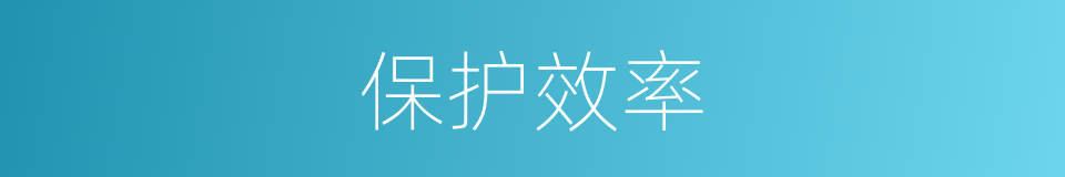 保护效率的同义词